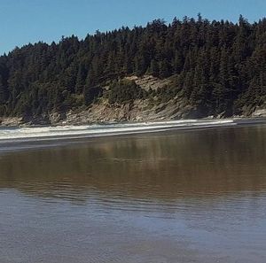 Meet your Posher, Ralph